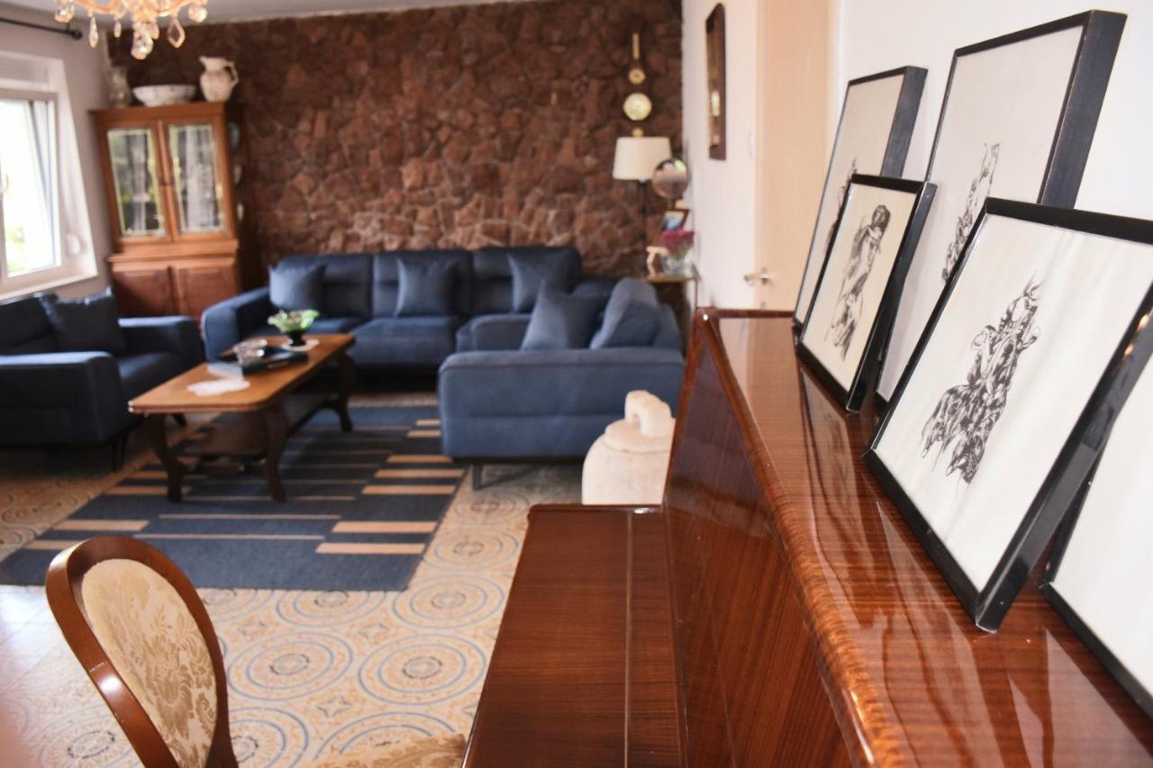 Apartments Ivanovic كوتور المظهر الخارجي الصورة