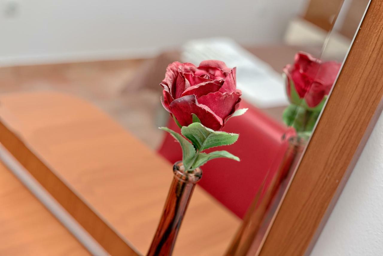 Apartments Ivanovic كوتور المظهر الخارجي الصورة