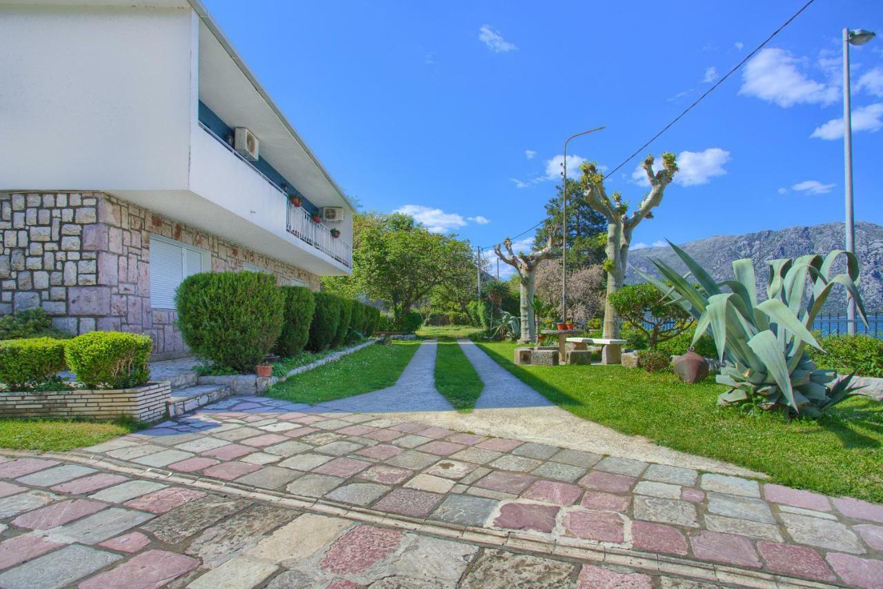 Apartments Ivanovic كوتور المظهر الخارجي الصورة
