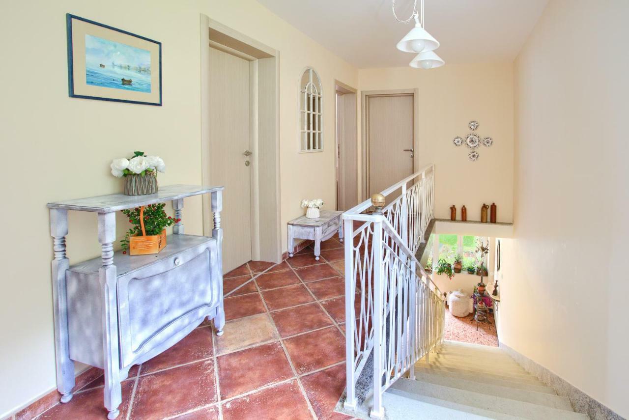 Apartments Ivanovic كوتور المظهر الخارجي الصورة